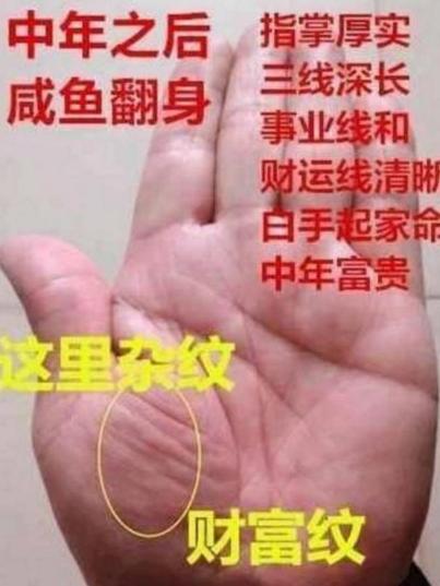 不论男女,手上有 此类 纹路,离婚已成定局,不过时间早晚问题