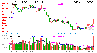 金地集团今日分红转增了，我的股票账户怎么没有变动？