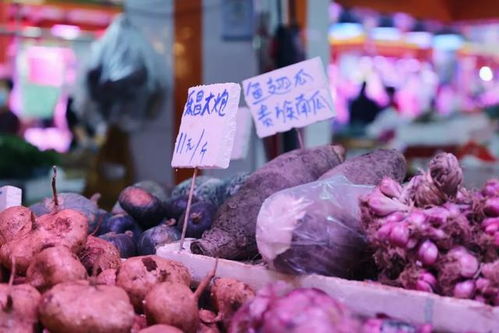 北方人想不到,广州的菜市场能有多温柔