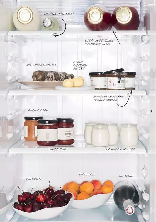 冰箱里为什么会生虫子