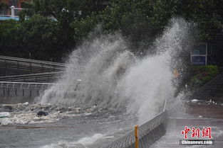 深圳遭台风 苗柏 袭击 大风暴雨影响出行 