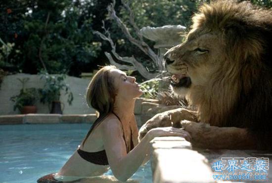 世界上最霸气的十大宠物 美女与狮子同睡6年,男子养河马当宠物