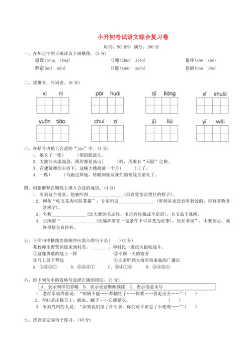 小升初考试语文综合复习练习 含答案 