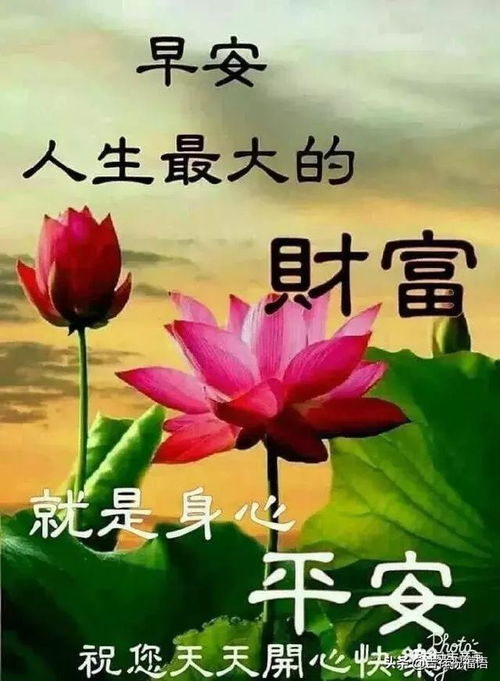 初一早安祝福图片大全 搜狗图片搜索