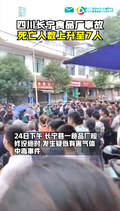 安全是民航业的生命线 心得体会