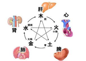 睡眠充足精神好 中医推荐1种治愈失眠的好方法