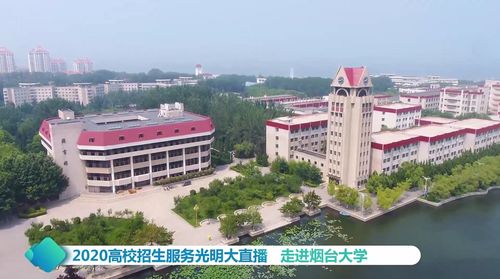 烟台大学四大王牌专业