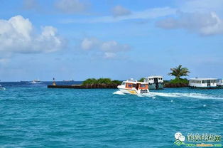 马尔代夫海钓旅游攻略 马尔代夫海洋旅游主要项目（马尔代夫哪里有海）