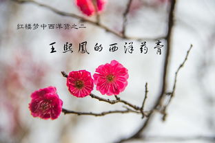 小六壬和梅花(小六壬和