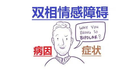 BD 双相情感障碍 关于自我的双相叙述