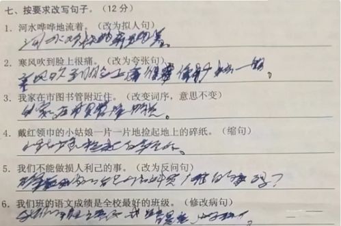 小学生 狂草字体 走红,字迹奔放洒脱,老师 谁给翻译一下