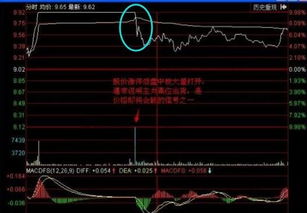 股票中涨停是什么意思？