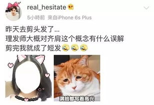 为什么所有理发师都听不懂＂不要剪短＂