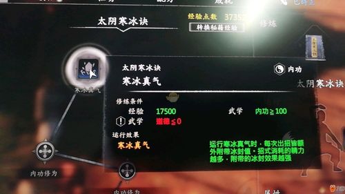 河洛群侠传 太阴寒冰诀获取方法介绍 怎么得太阴寒冰诀