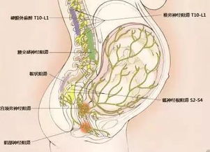 婆婆反对媳妇 无痛分娩 ,怕影响孙子,真相到底如何