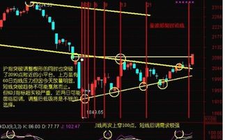 上海证券交易所股票代码是多少