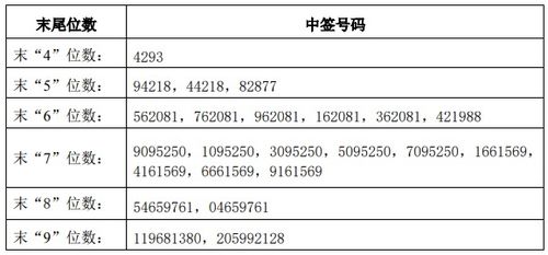 中集环科新股中签号公布