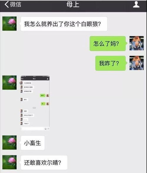 开心一刻 有一女网友名字是 熊二的嫂子 ,一直不明白其意思