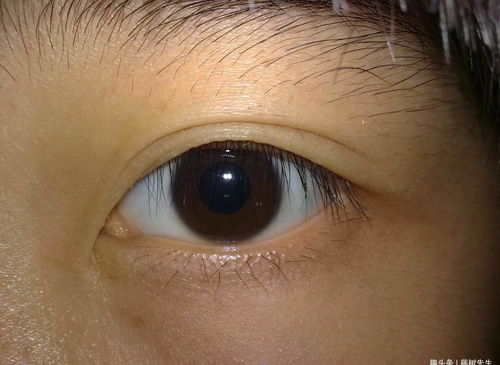 为何有人说满族人眼球都是褐色的,是真的吗
