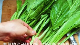 野菜树仔菜,用广东潮汕做法好,野香浓郁 清脆可口 营养不流失