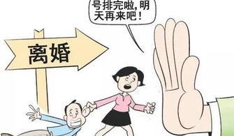 农村婚姻的现状,离婚率在不断的提高 