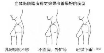 你的胸部是用来区分AB面的吗 