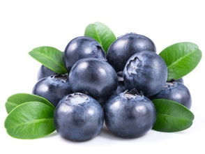 几月份是吃蓝莓的季节 蓝莓的副作用太大了