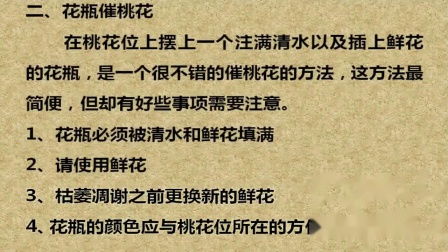 四绝招教你摆脱单身(摆脱单身的方法)