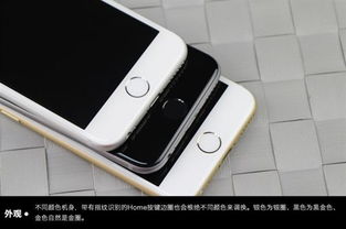 iPhone6什么颜色好看 三个颜色选择优缺点 