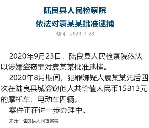 一个月在陆良盗窃了4辆电动车 ...