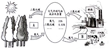 切洋葱时常会流眼泪.原因是洋葱中含有刺激眼睛的物质.这些物质存在于洋葱细胞的 A.细胞核B.细胞壁C.液泡D.叶绿体 题目和参考答案 青夏教育精英家教网 