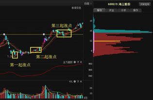 股票生命线指的是什么意思