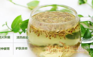 孕妇能喝金银花茶吗(怀孕能喝菊花茶吗)