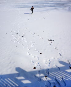 残雪 中关村在线摄影论坛 