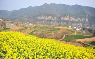 以村集体建设用地,开发乡村旅游项目,土地如何审批