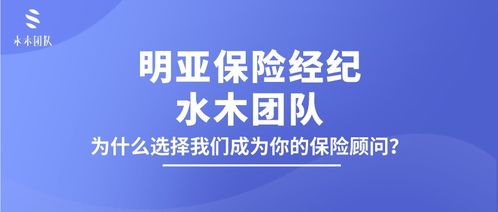 去哪里查重？专业团队为您提供最佳选择