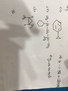 有机化学命名题 最好写一张纸上 