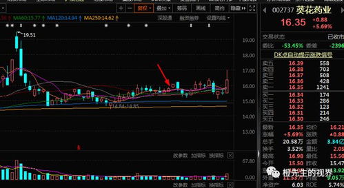 通达信指标排序中的动态股票池是什么回事