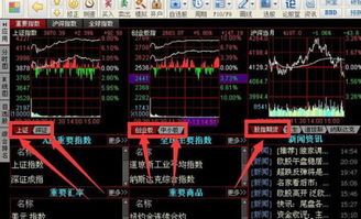 同花顺软件中今天我把一只股票卖出后资金怎么会在冻结的帐户中？？（注意是卖出，不是买入）