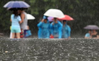 上海人工降雨：科技助力缓解干旱，城市生态焕新