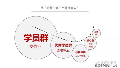 社群营销的方法 技巧与实践 