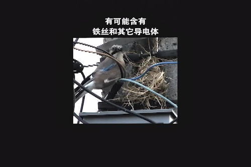 电线杆上为什么要安一个小风车 