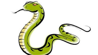 蛇用英语怎么说 