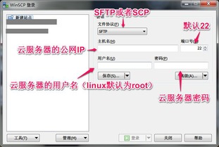 如何将文件上传到linux云服务器