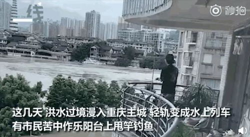 洪水淹了重庆,但淹不了重庆人的乐观精神,这可真是个宝藏小城