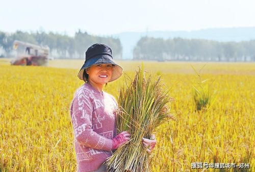 希望的田野奏响出彩强音