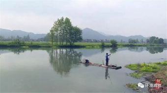 快反追踪 益阳桃江 当地政府组织清理沾溪河垃圾约5吨