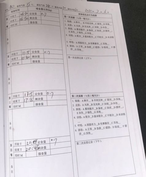 揭秘期刊文章查重合格背后的秘密：标准与技巧