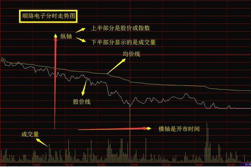 老股民深夜悟出的 分时均价线 秘诀,看懂了细节,跻身高手之列