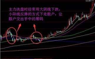 怎么识别优秀股票的基本特征